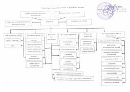 Структура управления в МБОУ С(К)ОШИ г.Нытвы